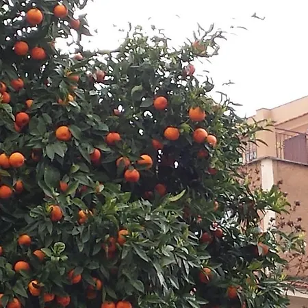 Vakantiehuis Bella Vita Rome